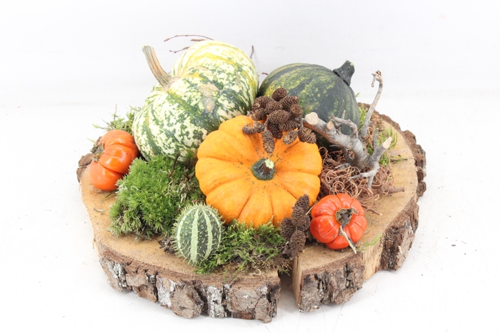 <h4>arr4 Sierfruit MB - Hout schijf L oranje</h4>