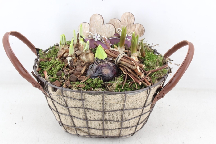 <h4>arr4 Bollenmix JS - Jute mand ovaal leer oor</h4>