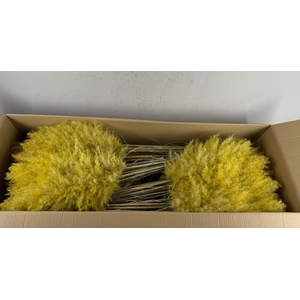 Df Pampas 115cm Yellow