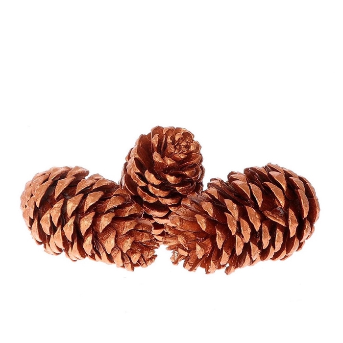 <h4>Dennenappels Maritima 12cm x3</h4>