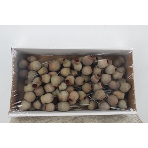 Bellgum on 10cm wr Nat