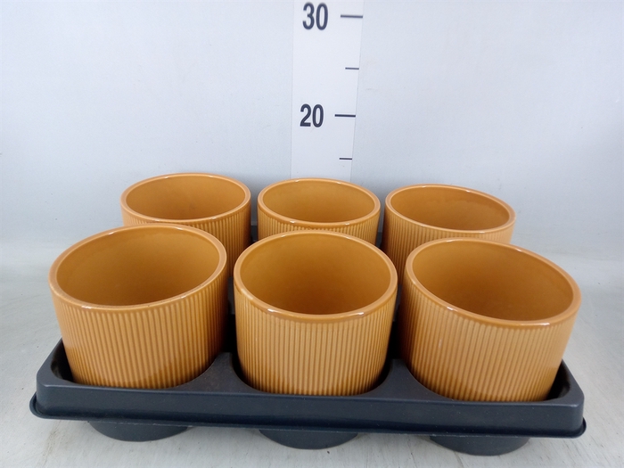 <h4>Pot   ...Keramische H%</h4>
