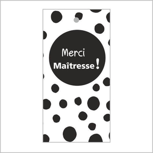 Labels Card 5*10cm x20 Maîtresse