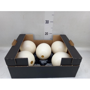 Decoratieve materialen   ...H%