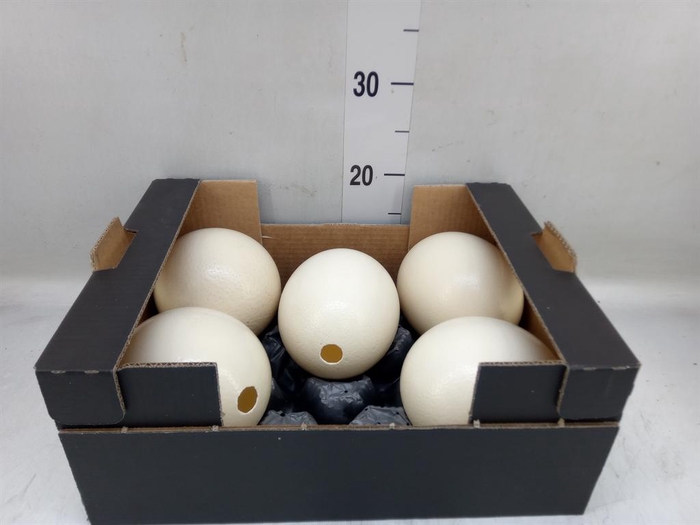 <h4>Decoratieve materialen   ...H%</h4>