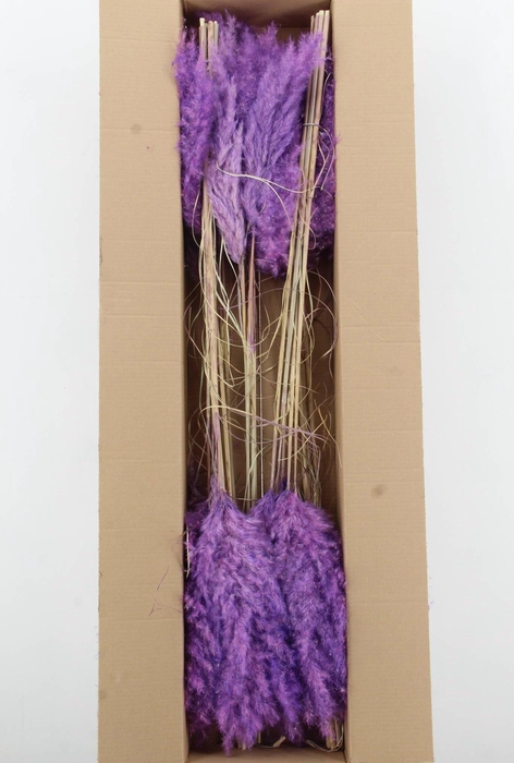 <h4>DROOGBL BEWERKT H%</h4>