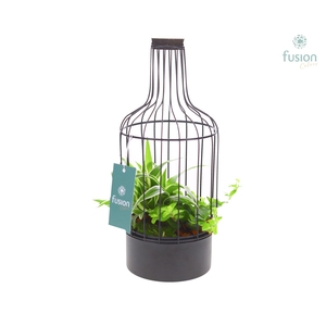 Metaal fles zwart Small met arrangement