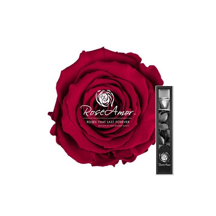 <h4>30cm Stem Pin02</h4>