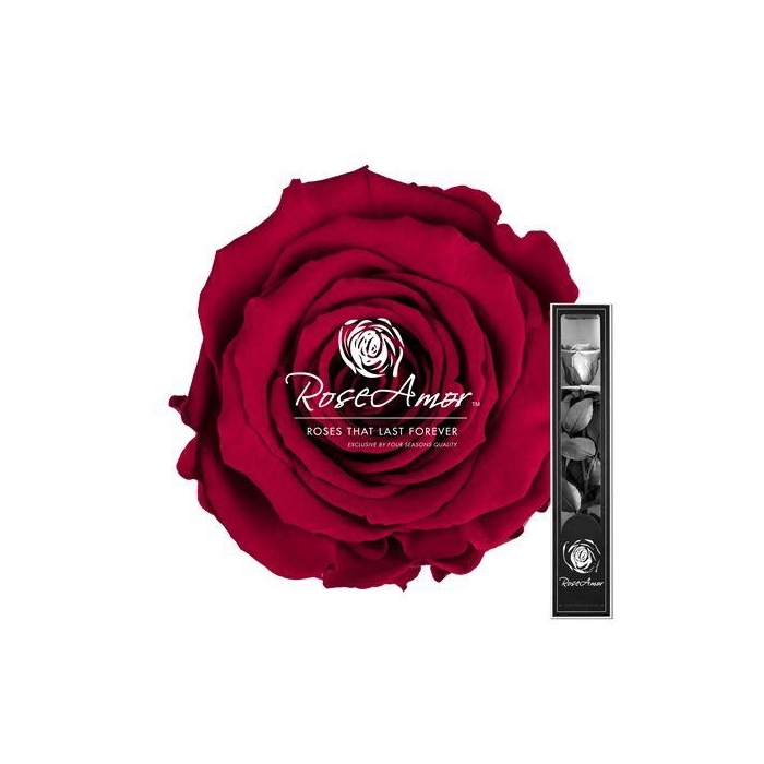 <h4>30cm Stem Pin02</h4>