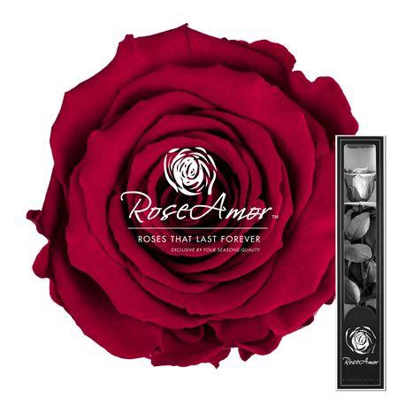 30cm Stem Pin02