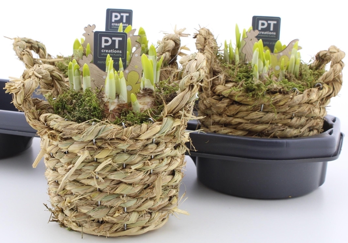 <h4>ARR N TETE A TETE</h4>