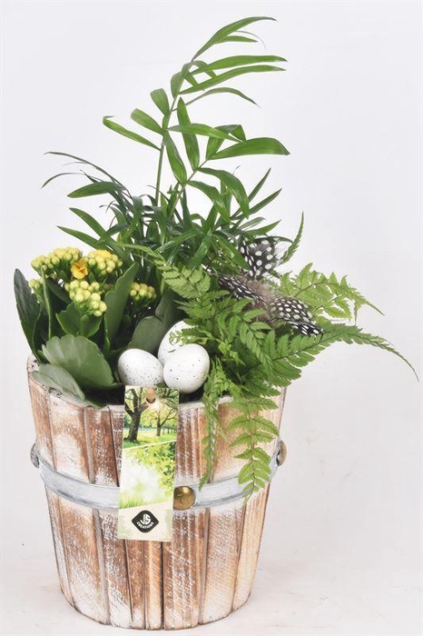 <h4>Hout pot 15cm</h4>