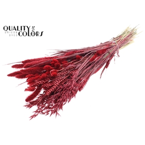 Dried Flower mix bunch Red