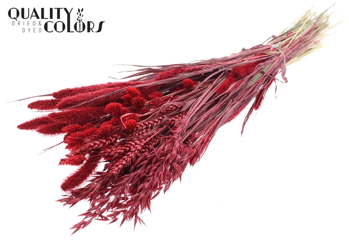 <h4>Dried Flower mix bunch Red</h4>