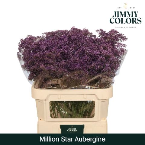 <h4>Gyps Million Star L80 Aubergine</h4>