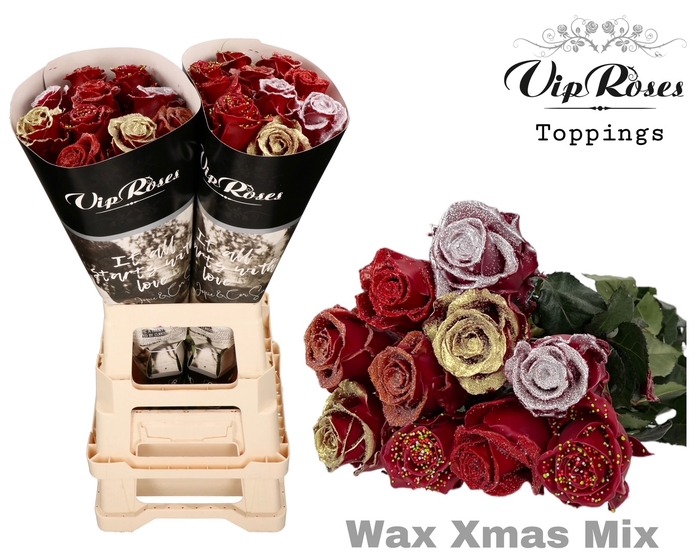 R GR CHOCO XMAS MIX x20