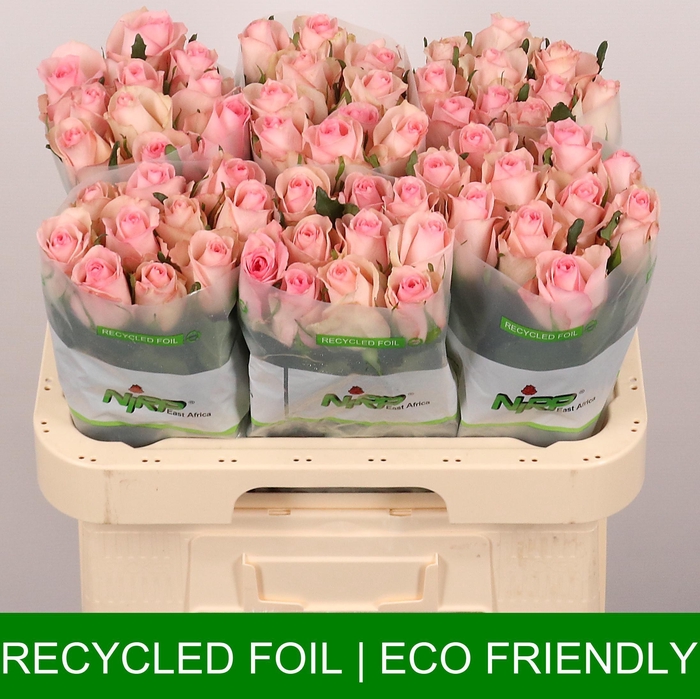 <h4>Pretty Fashion</h4>