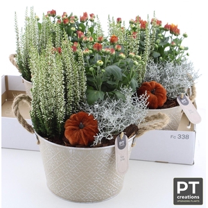 ARR TUINPLANTEN