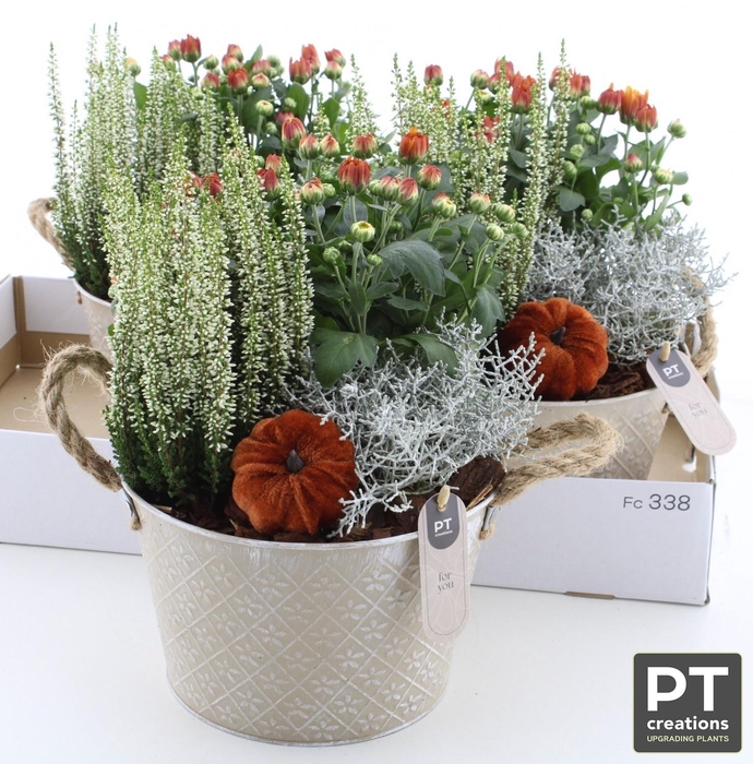 <h4>ARR TUINPLANTEN</h4>