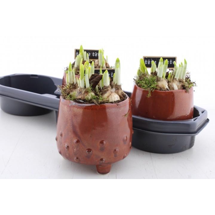 <h4>ARR N TETE A TETE</h4>