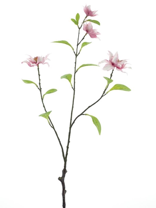 <h4>Jewel clematis spray 75cm pink</h4>