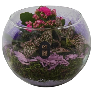 Arr.   Planten L%