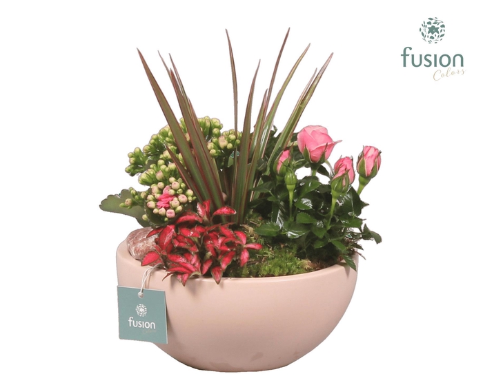 <h4>Schaal keramiek Moon Medium blush pink Love met Arrangement</h4>