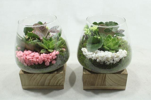 <h4>6910 VAAS OP HOUTEN VOET</h4>