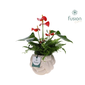 Keramiek knot pot met Arrangement