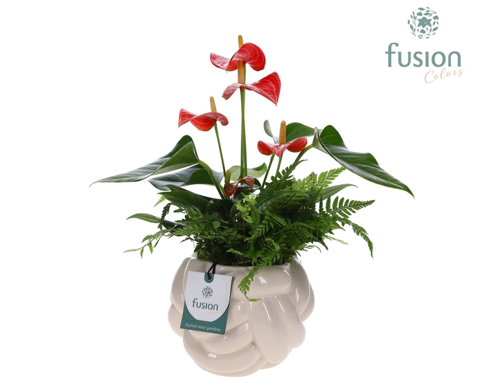 <h4>Keramiek knot pot met Arrangement</h4>