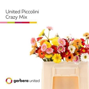 Ge Na United Piccolini Crazy Mix