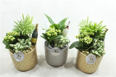 <h4>SC001 AMY SYLVESTER</h4>