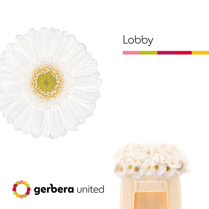 <h4>GE MI LOBBY</h4>