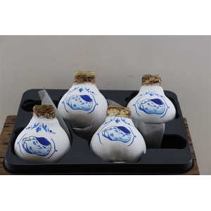 Wax Hipp Delfts Blauw Clogs Hand Paint