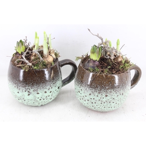 arr4 Bollenmix MB - Luxe mok 338/6