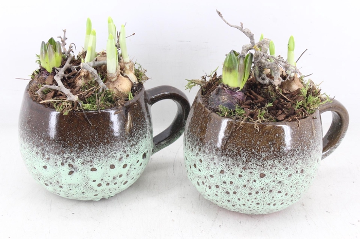 <h4>arr4 Bollenmix MB - Luxe mok 338/6</h4>