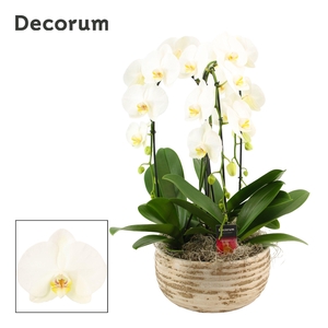Luna cascade 3 tak symphony white(Deco-collection)