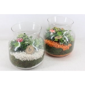 arr2 PL - Glas candy L x2 - oranje/wit