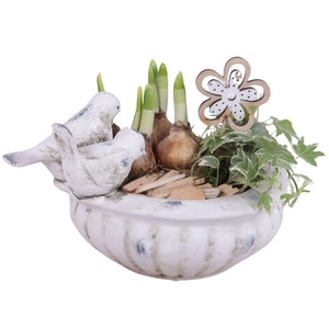 Bulbs Arr. Narcis Ceramic Bird Bath Ø23cm