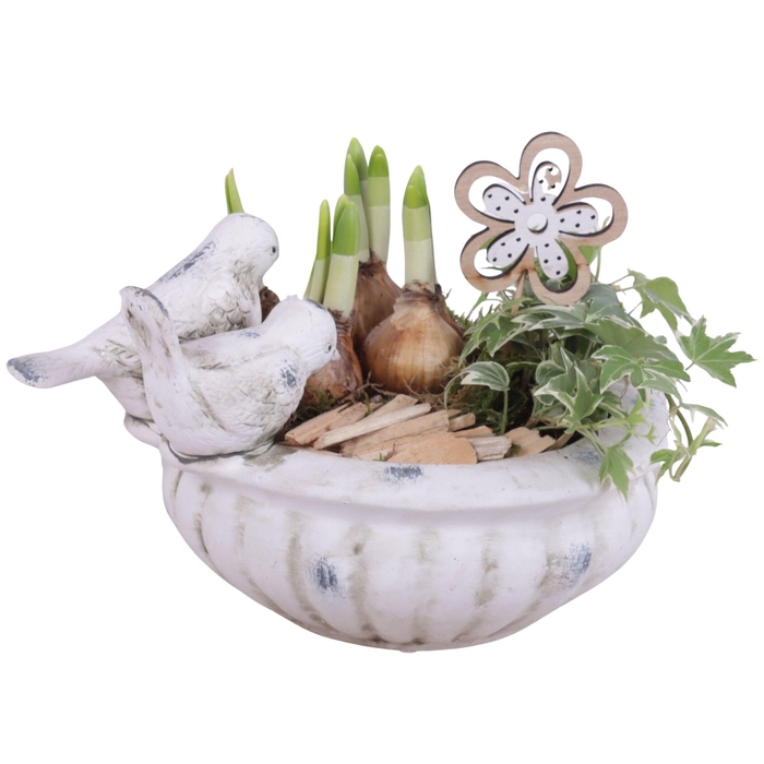 <h4>Bulbs Arr. Narcis Ceramic Bird Bath Ø23cm</h4>