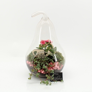ESCR-2632RZ ESSENTIALS TERRARIUM