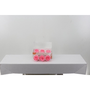 Rosa Preserved  Light Pink