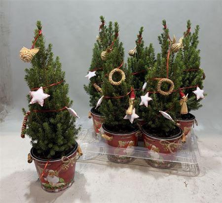 Kerstboom Versierd In Zinken Emmer