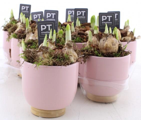 <h4>ARR N TETE A TETE</h4>