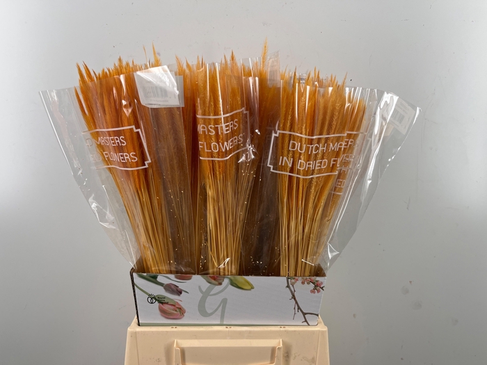 <h4>DROOGBL BEWERKT H%</h4>