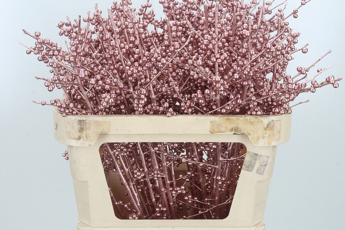 <h4>Ilex Kl Bh Rose Goud</h4>