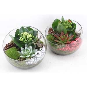 arr2 MB - Glas halve maan 402/2- rood/zilver