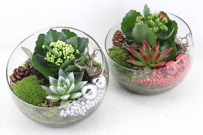 <h4>arr2 MB - Glas halve maan 402/2- rood/zilver</h4>