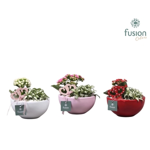 Schaal keramiek Moon Small 3 kleuren Love met Arrangement