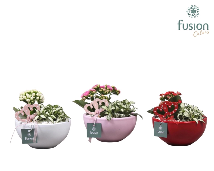 <h4>Schaal keramiek Moon Small 3 kleuren Love met Arrangement</h4>